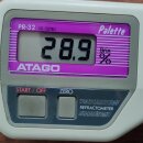 gebrauchtes digitales Handrefraktometer Atago PR-32 Palette, 0 bis 32 Brix Teilung 0,1 Brix