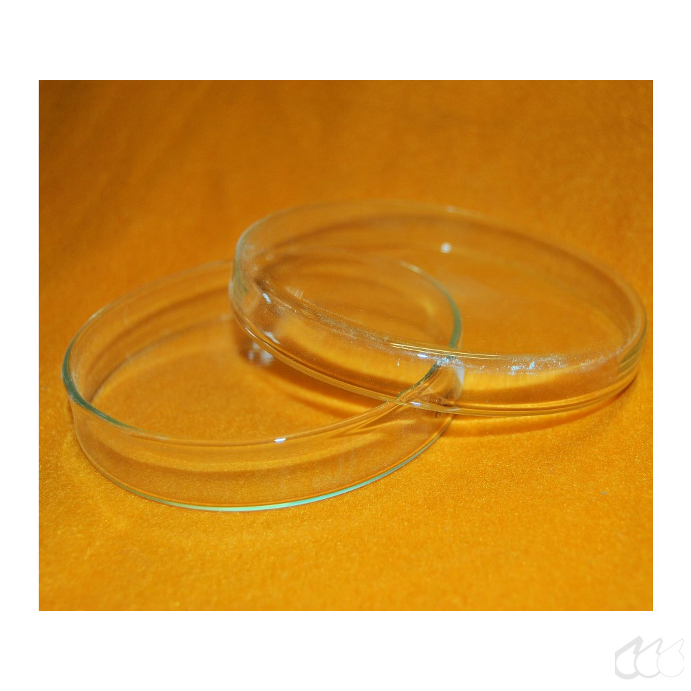 Produktbild von Laborglasshop 18er-Set Petrischalen Aus Glas – 100 Mm X 20 Mm, Je 18 Unter- & 18 Oberteile, Sterilisierbar, Autoklavierbar, Absolut Glasklar – Ideale Laborglasqualität Für Mikrobiologie