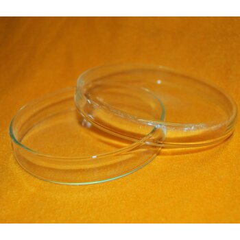 18 Petrischalen Glas Anumbra 100 mm x 20 mm, unbenutzt